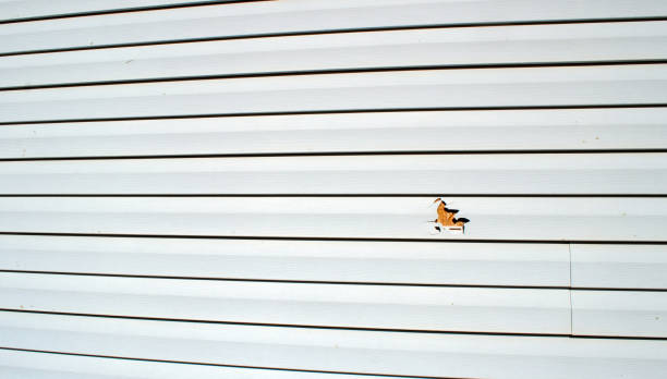 Best Siding Replacement  in Arlington, WA